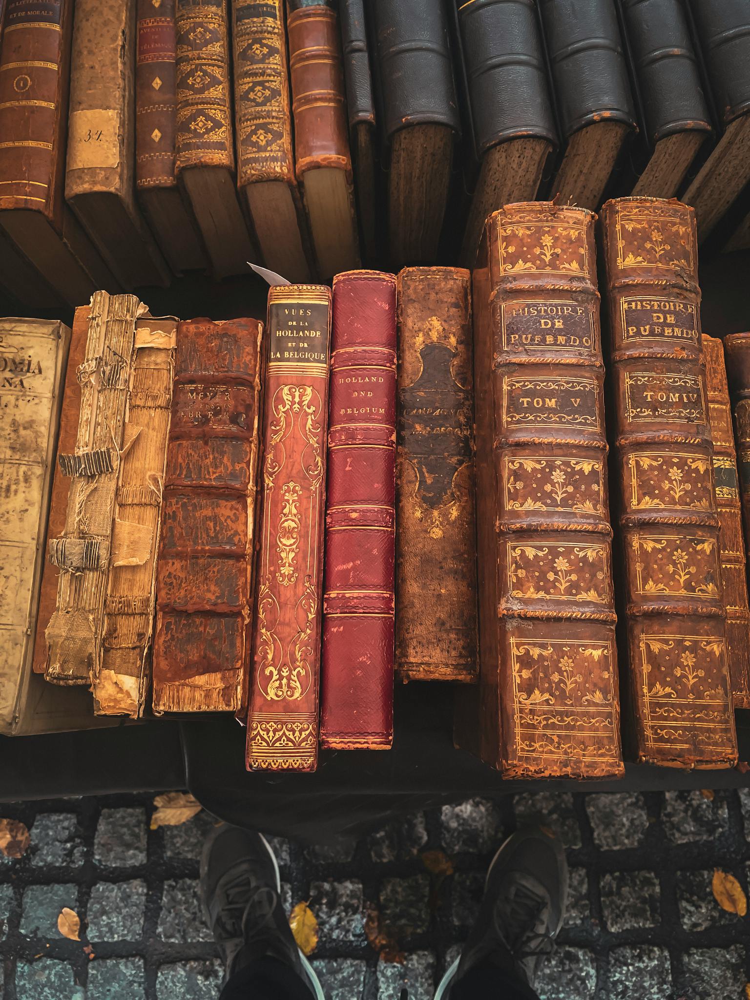 Aesthetic display of antique leather-bound books showcasing rich history and craftsmanship.